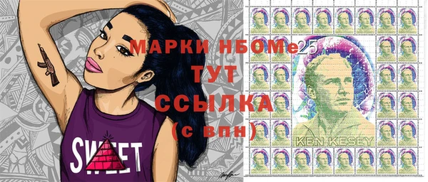 соль ск Гусь-Хрустальный