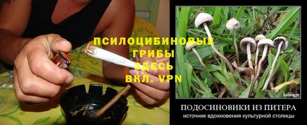 соль ск Гусь-Хрустальный