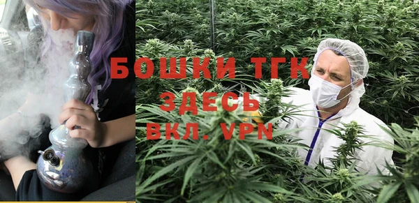 соль ск Гусь-Хрустальный