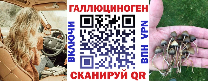 Псилоцибиновые грибы мухоморы Бердск